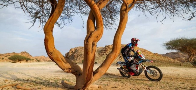 Todo lo que necesitas saber sobre el Rally Dakar 2024