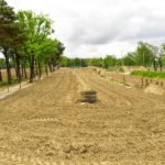 Drie dagen trainen op de Breugelheide in Lille