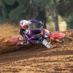 FOTO: Benistant en Horgmo in 2026 kleuren