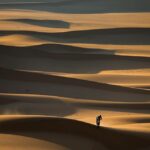 Keert de Dakar Rally terug naar Afrika?
