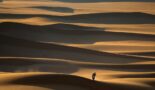 Keert de Dakar Rally terug naar Afrika?